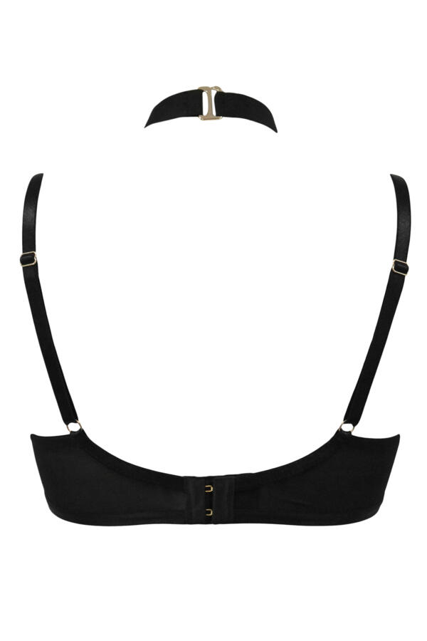 India Sheer and Opaque Double Strap Lightly Padded Bra