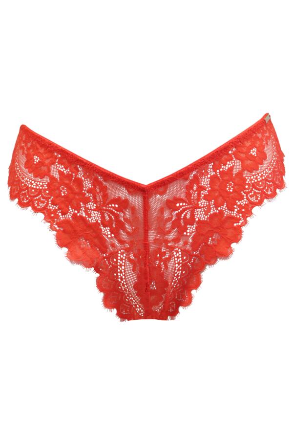 India Eyelash Lace V-Shape Brief