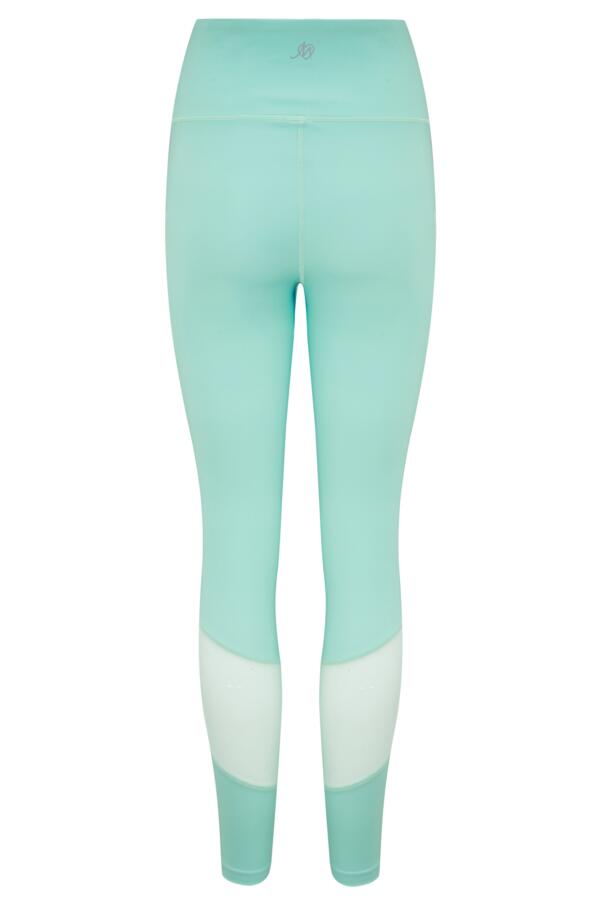 Energy Full Length Mesh Panel Sports Legging