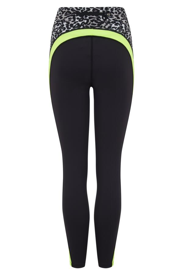 Energy Panelled Full Length Sports Legging