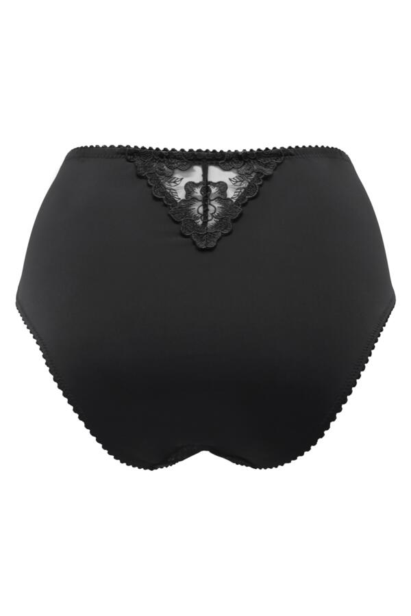 Sofia Lace Embroidered Deep Brief