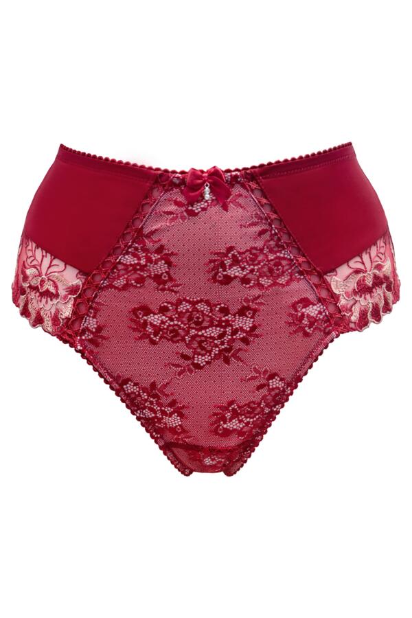 Sofia Lace Embroidered Deep Brief
