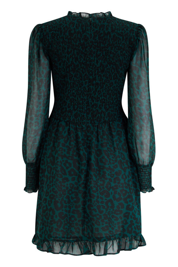 Izzy Shirred Bodice Long Sleeve Chiffon Dress