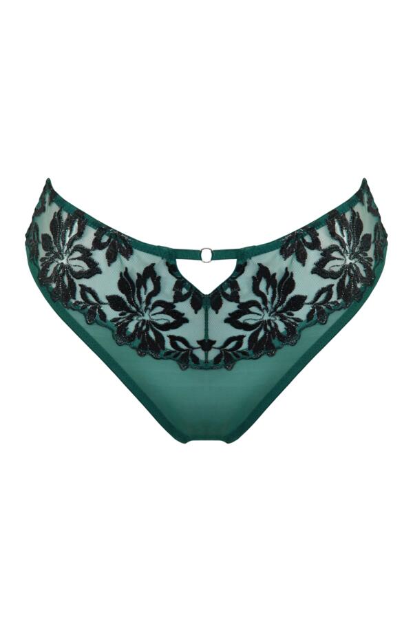 Roxie Mesh High Leg Brief