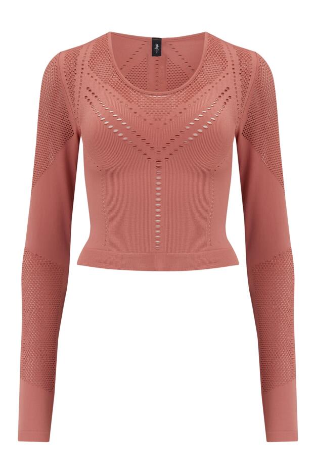 Energy Seamless Cutout Long Sleeve Yoga Crop Top