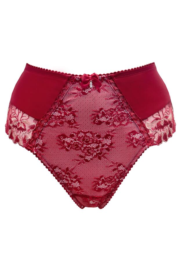 Sofia Lace Embroidered Deep Brief