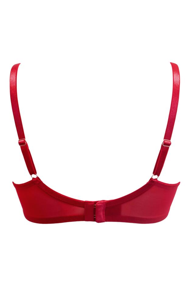 Roxie Embroidered Underwired Bra